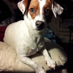 Meet your Posher, Ronda